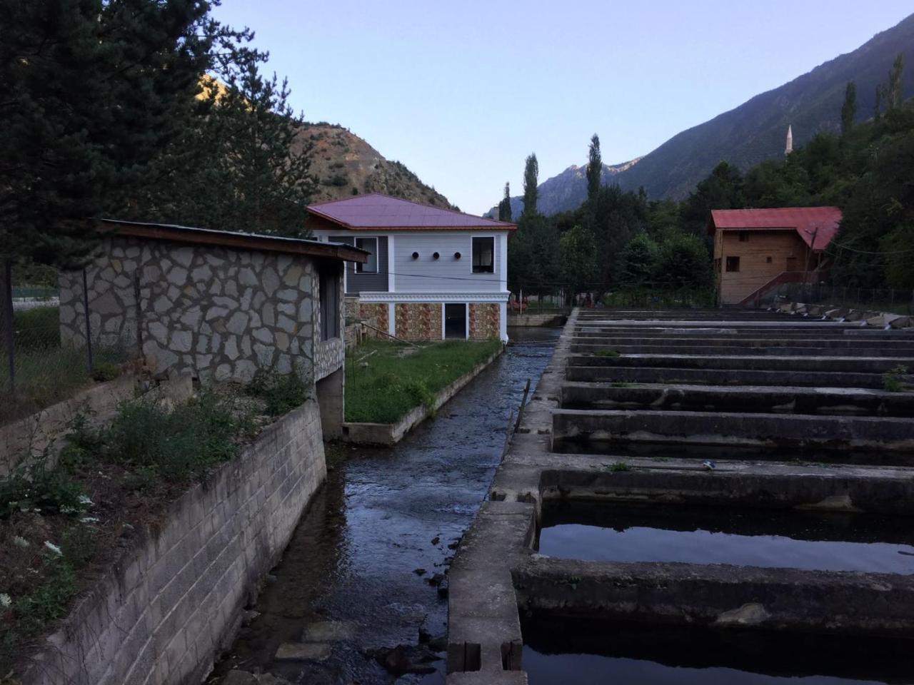 Agara Pansiyon Bostanci Esterno foto