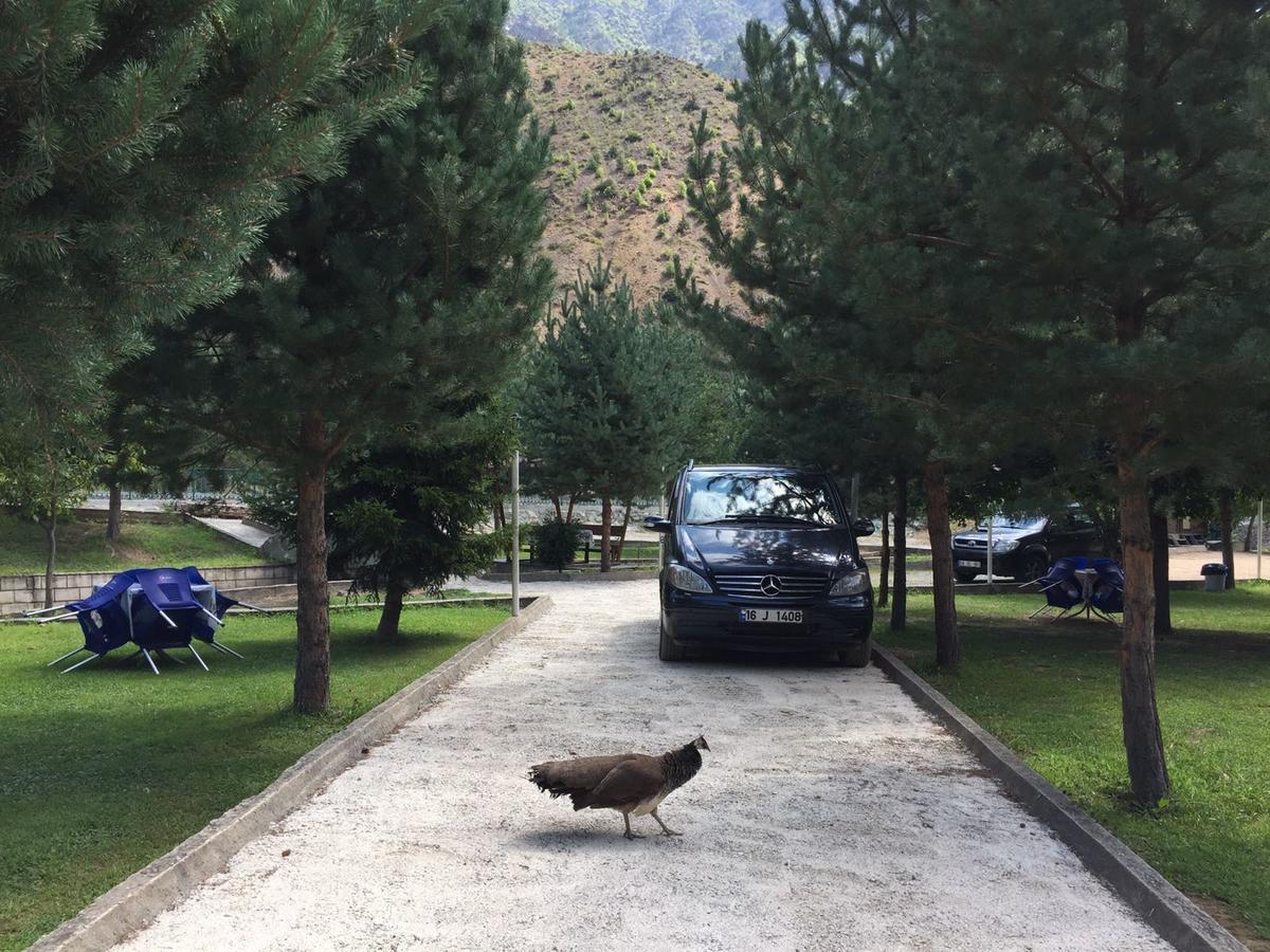 Agara Pansiyon Bostanci Esterno foto